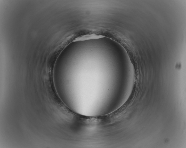 X0000091360225200708171530