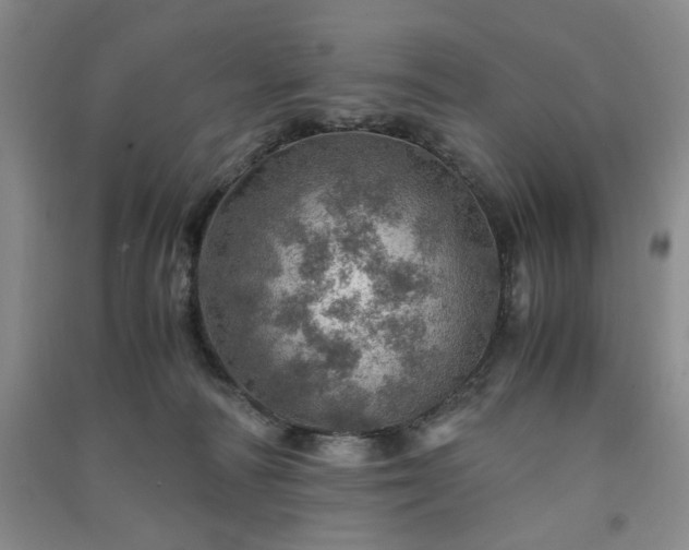 X0000091360226200708171530