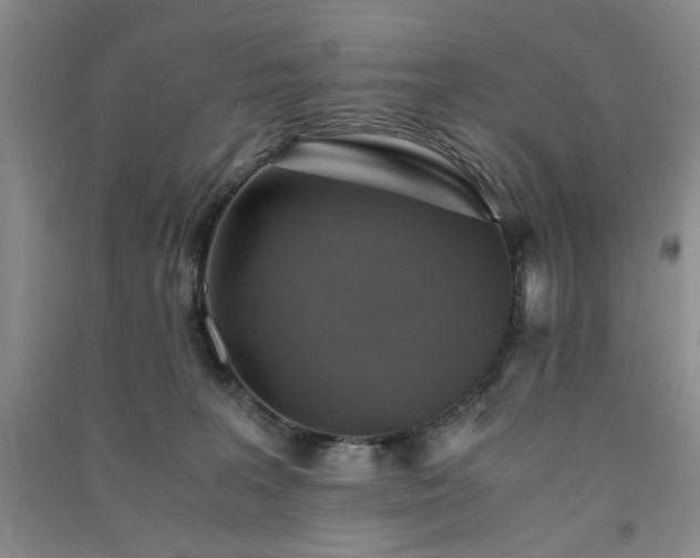 X0000091360227200708171530