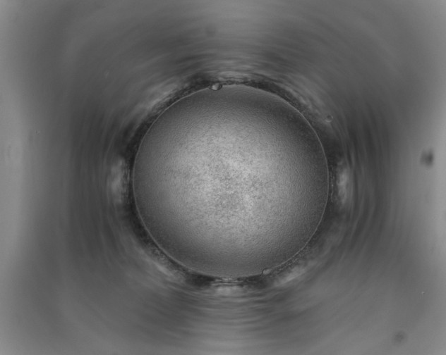 X0000091360228200708171530