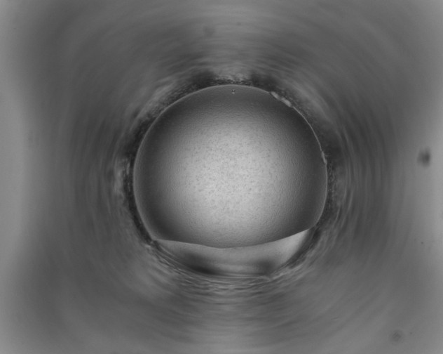 X0000091360229200708171530