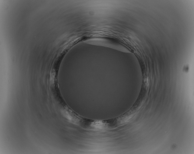 X0000091360231200708171530