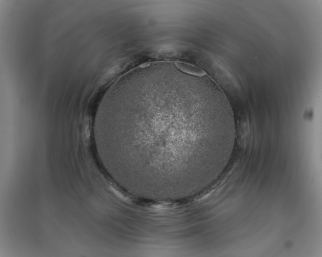 X0000091360232200708171530