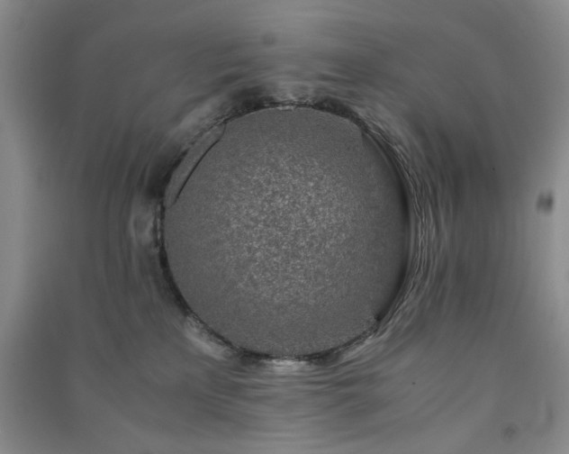 X0000091360233200708171530