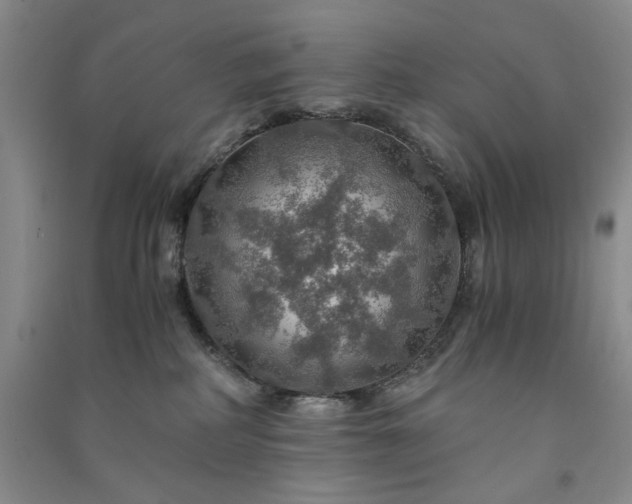 X0000091360234200708171530