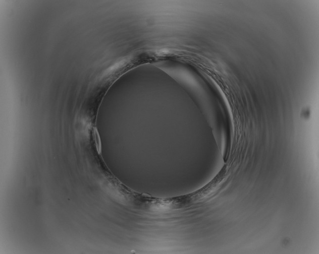 X0000091360235200708171530