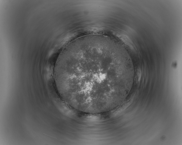 X0000091360236200708171530