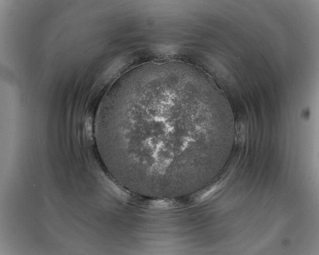 X0000091360238200708171530