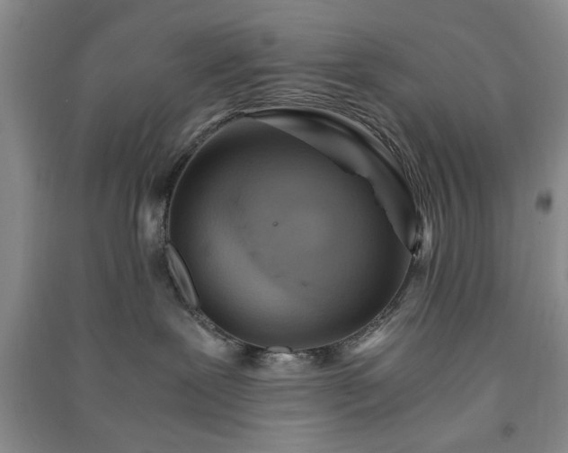 X0000091360239200708171530