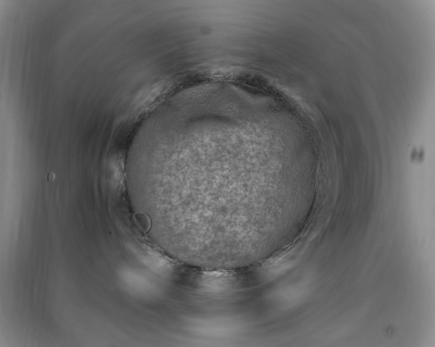 X0000091360240200708171530