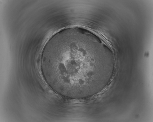 X0000091360241200708171530