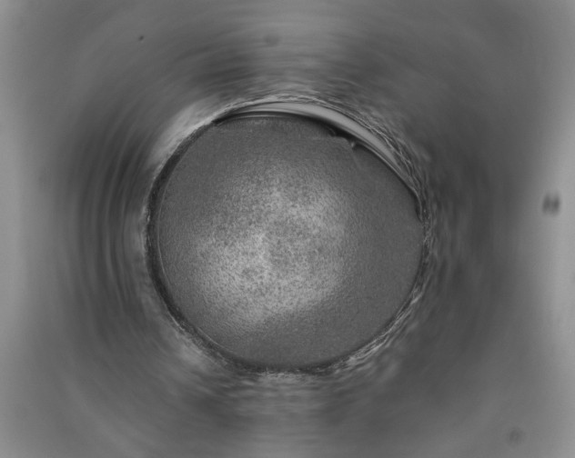 X0000091360242200708171530