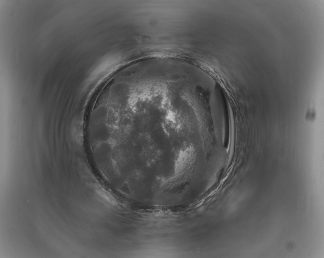 X0000091360243200708171530