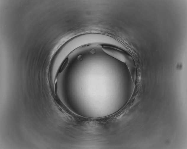 X0000091360244200708171530