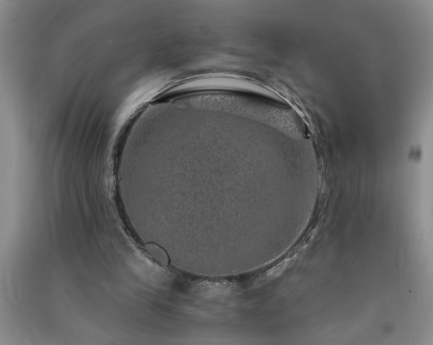 X0000091360245200708171530