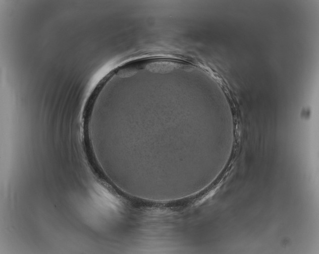 X0000091360246200708171530