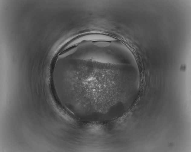 X0000091360247200708171530