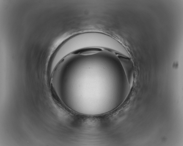 X0000091360248200708171530