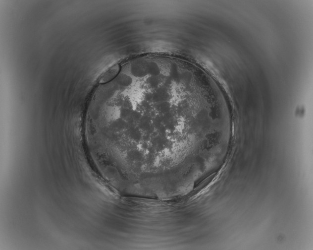 X0000091360249200708171530