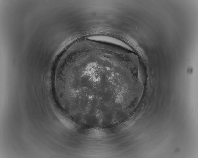 X0000091360250200708171530