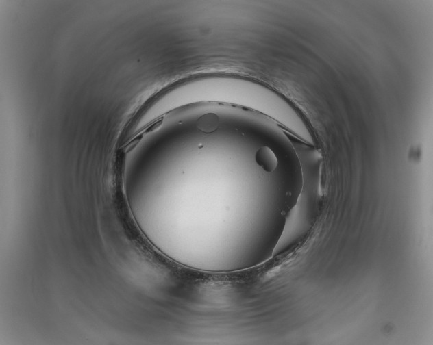 X0000091360252200708171530