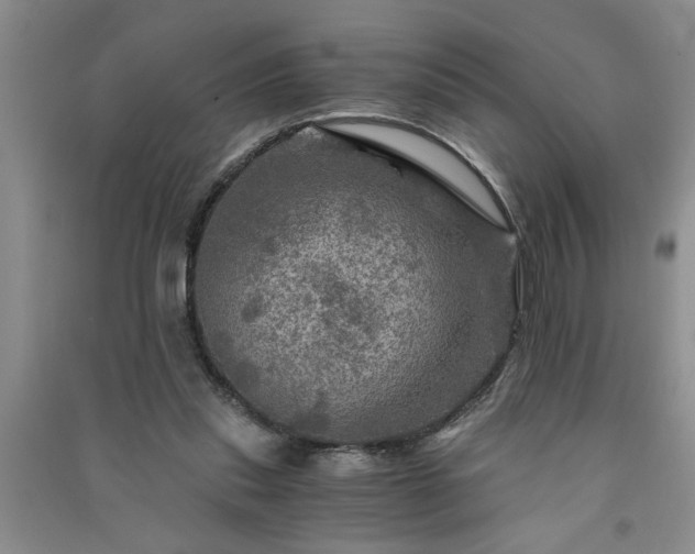 X0000091360253200708171530