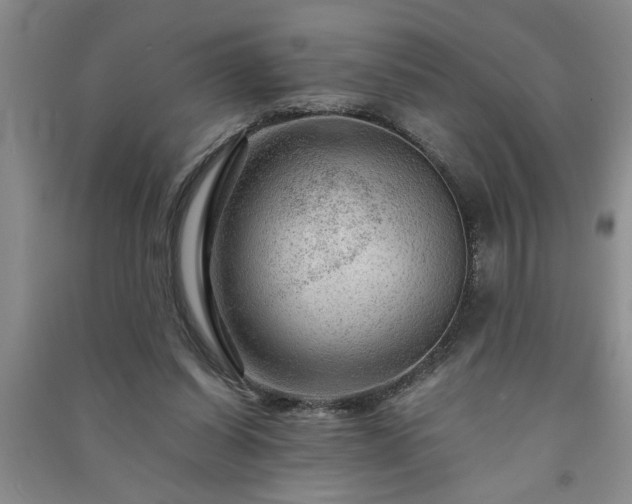 X0000091360254200708171530