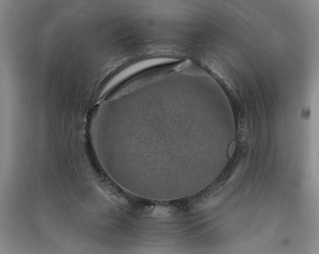 X0000091360255200708171530