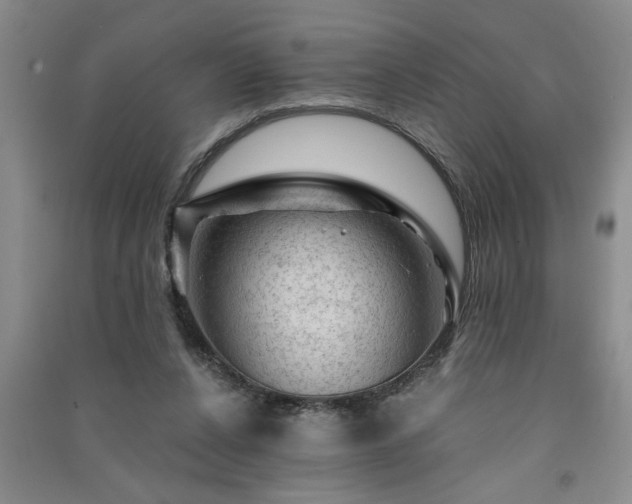 X0000091360256200708171530