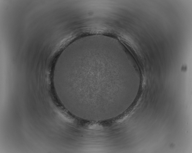 X0000091360258200708171530