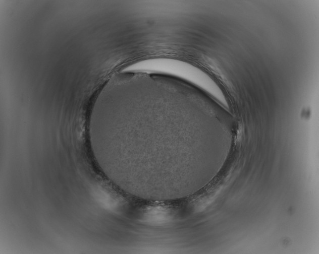 X0000091360259200708171530