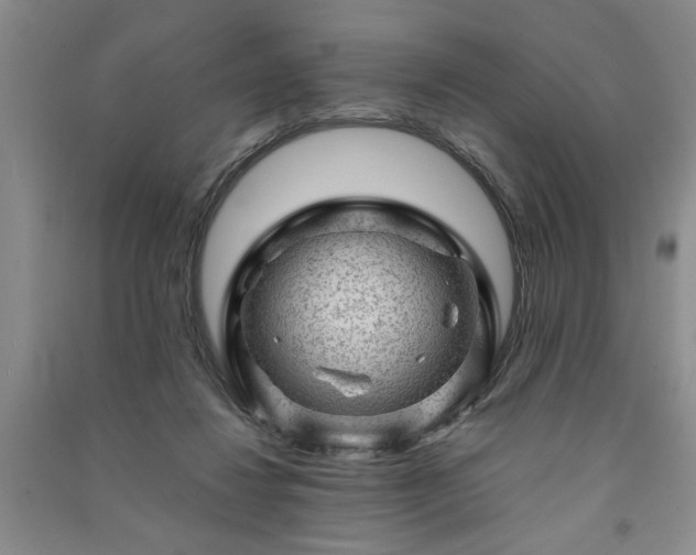 X0000091360260200708171530