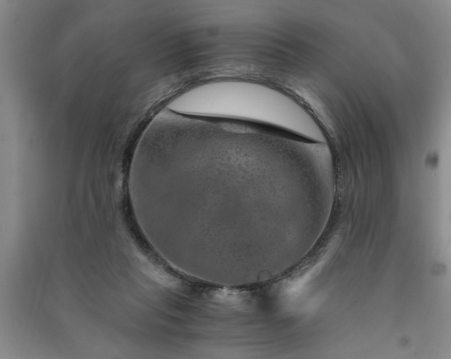 X0000091360261200708171530