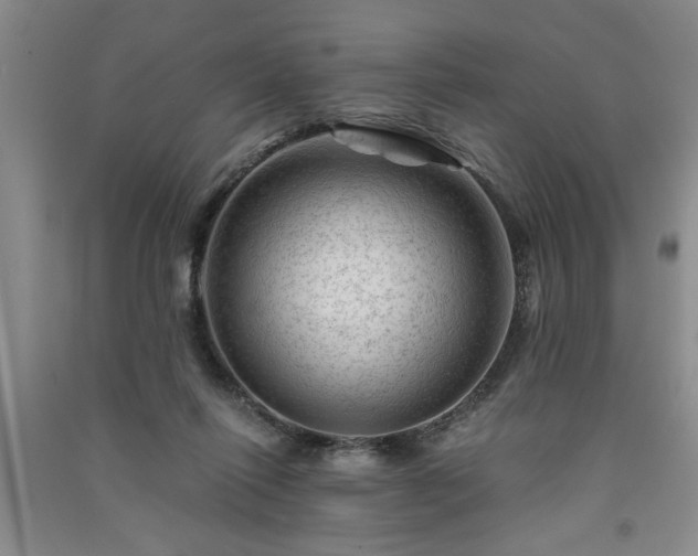X0000091360262200708171530