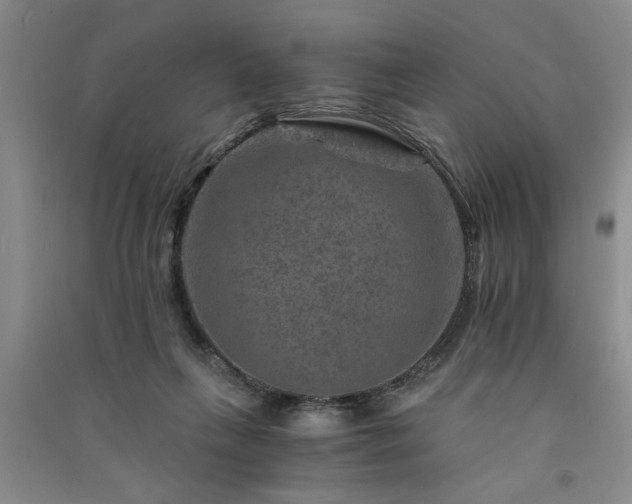 X0000091360263200708171530