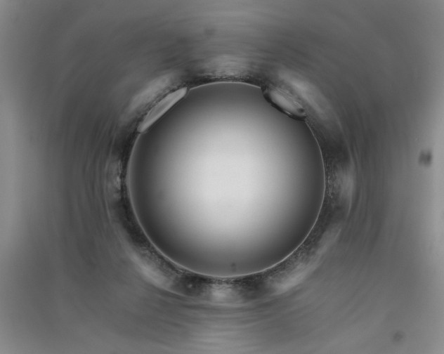 X0000091360264200708171530