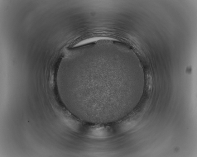 X0000091360267200708171530