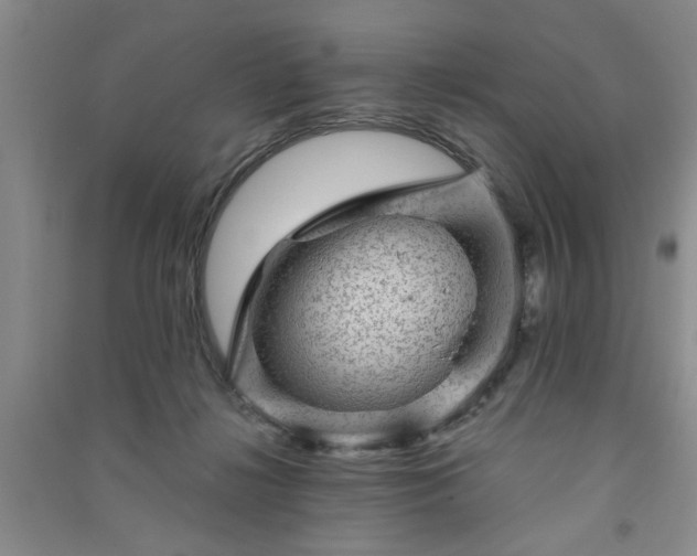 X0000091360268200708171530