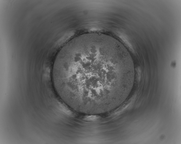 X0000091360269200708171530