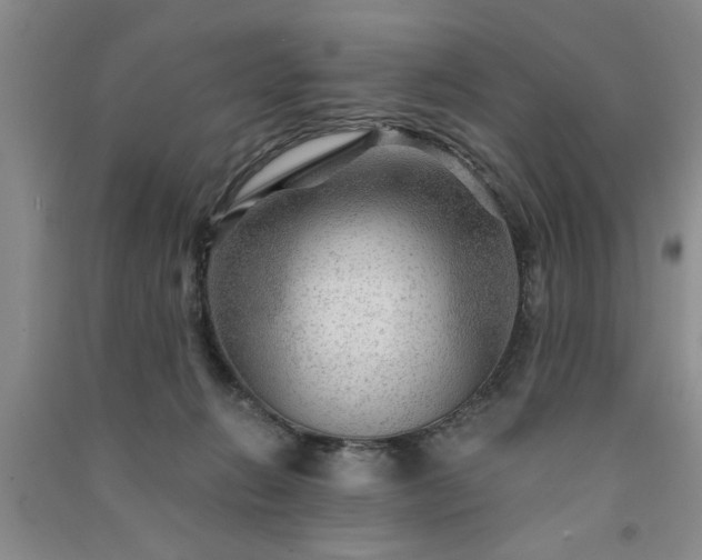 X0000091360270200708171530