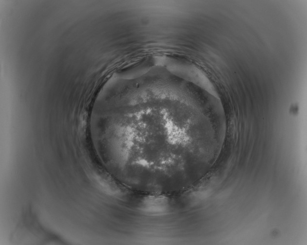 X0000091360271200708171530