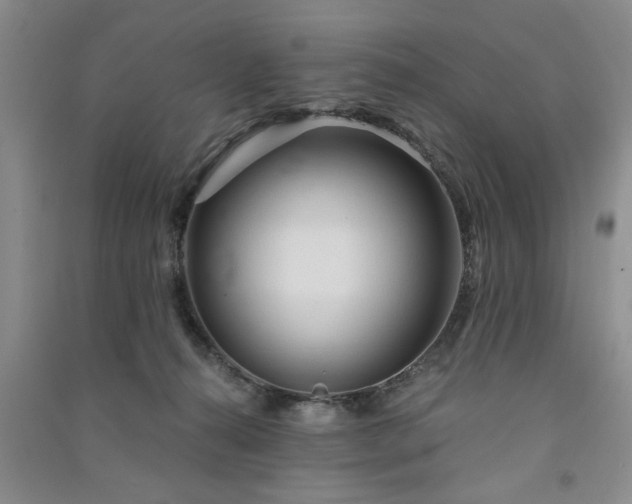 X0000091360272200708171530