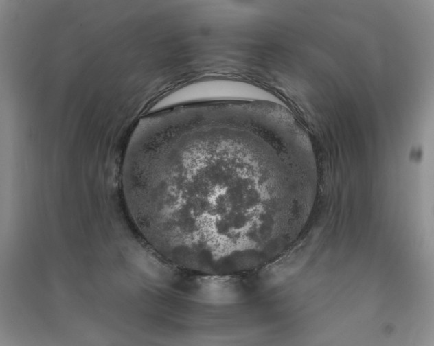 X0000091360273200708171530