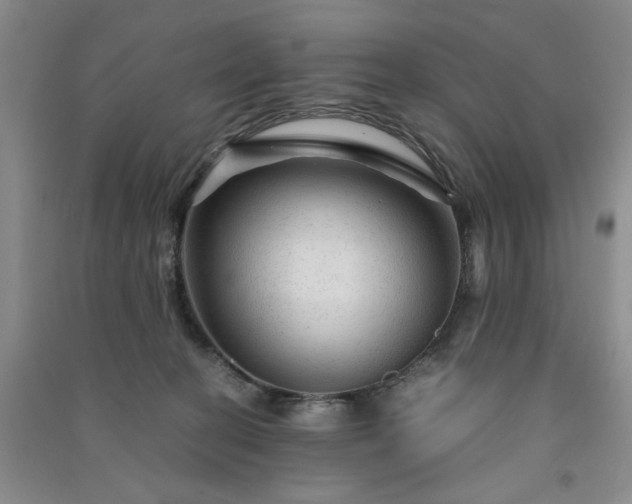 X0000091360274200708171530