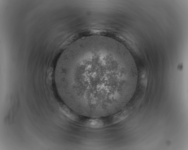 X0000091360275200708171530