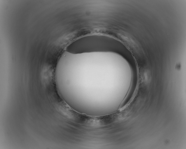 X0000091360276200708171530