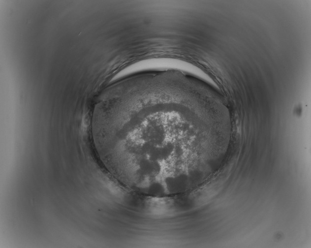 X0000091360277200708171530