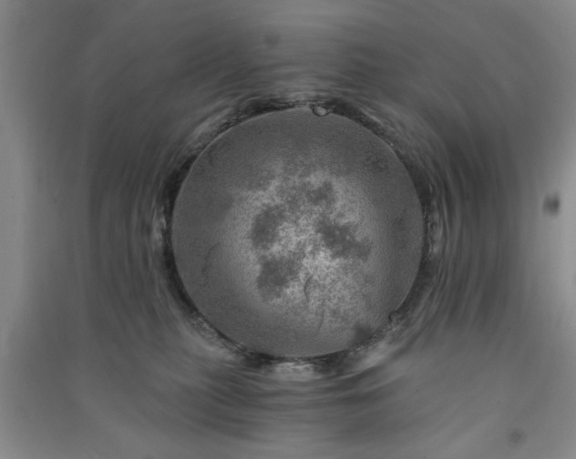 X0000091360279200708171530