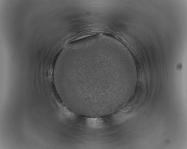 X0000091360281200708171530