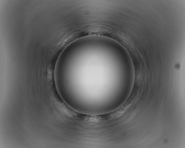 X0000091360282200708171530